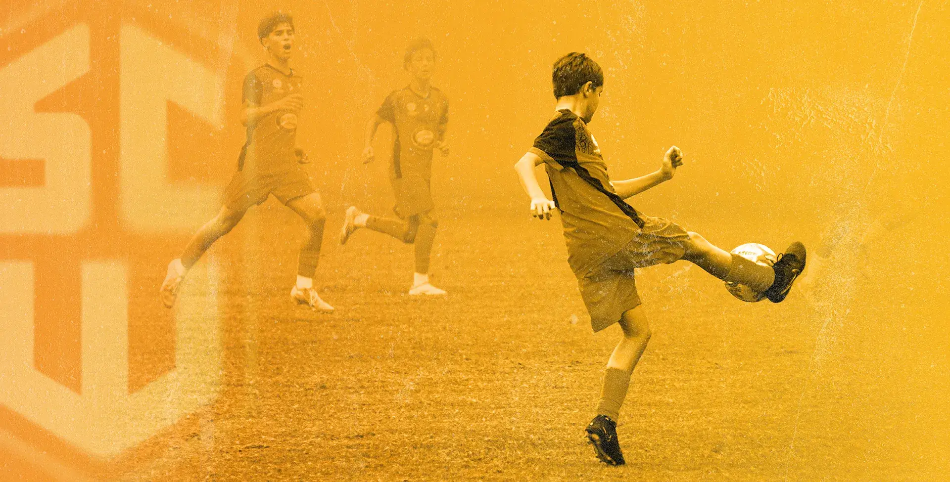 Player development program