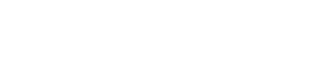 Wanderers bronze partners